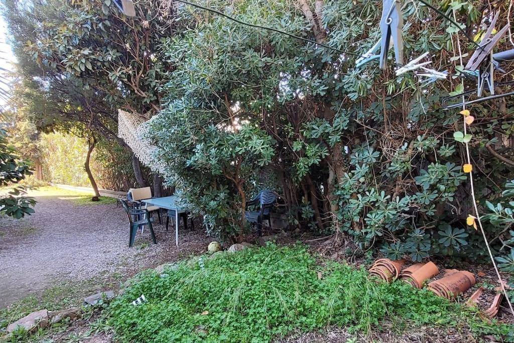 Cosy Au Soleil
